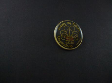 Scouts en Gidsen Tessenderlo-Centrum ,België